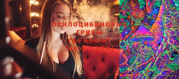 не бодяженный Аркадак