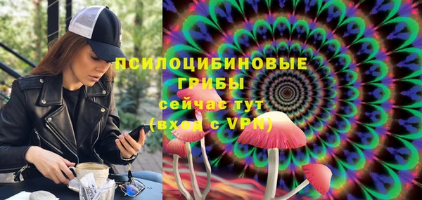 не бодяженный Аркадак