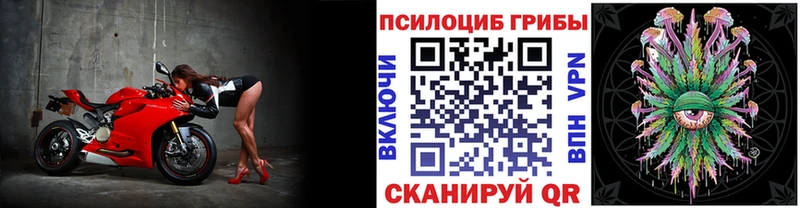 Галлюциногенные грибы Psilocybine cubensis Ленск